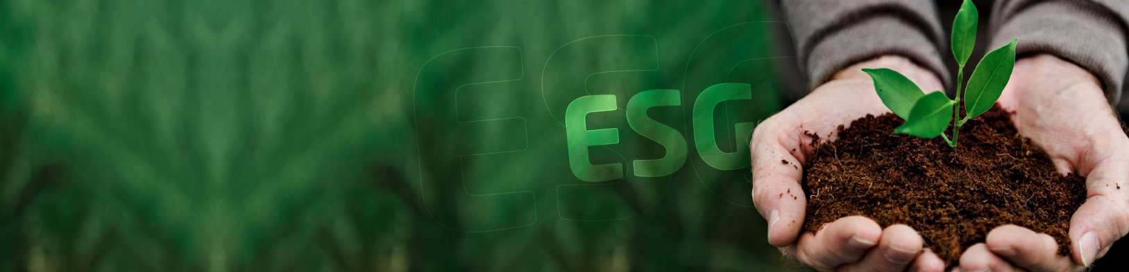 ESG