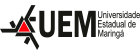 UEM